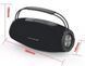 Портативна колонка Hopestar H51, bluetooth колонка, колонка бездротова з водонепроникним корпусом 1552488794 фото 2