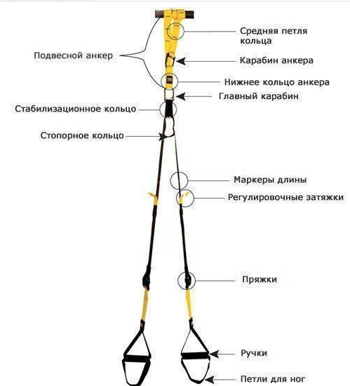 Тренувальні петлі, Ремені TRX для фітнесу TRX001 фото