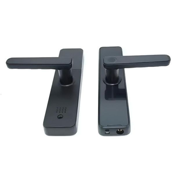 Розумний дверний замок із біометрією на батарейках і USB, Bluetooth, TUYA/ Електронний замок із паролем 2901303809 фото