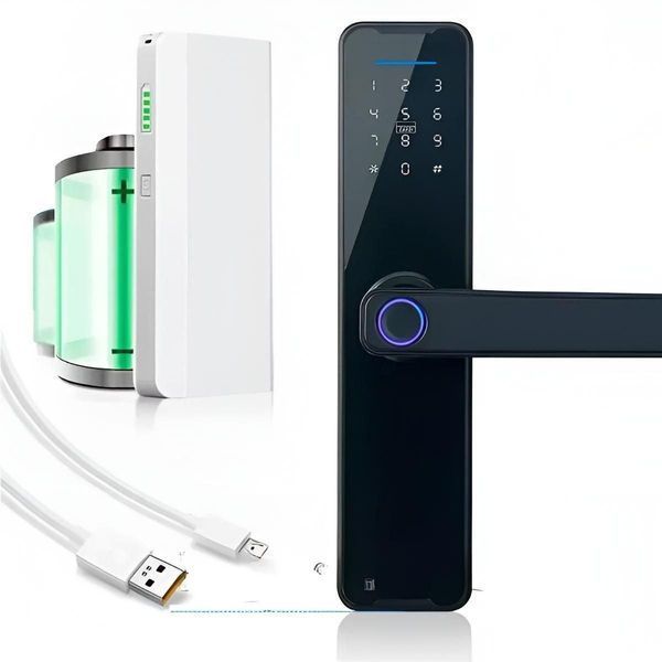 Розумний дверний замок із біометрією на батарейках і USB, Bluetooth, TUYA/ Електронний замок із паролем 2901303809 фото
