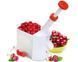 Відділювач кісточок Cherry WB-1260 1838478585 фото 1