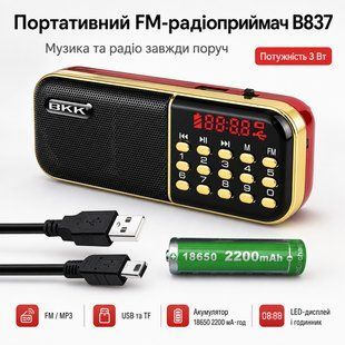 Портативний радіоприймач MP3/FM з USB, B837 / Міні-радіо з живленням від акумулятора 3031159619 фото