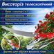 Висоторіз телескопічний подовжений 2в1, 300 мм/Висотний секатор на штанзі 2906430683 фото 1