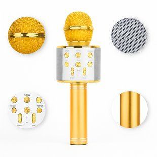 УЦІНКА! Мікрофон WSTER WS-858 Bluetooth USB AUX FM GOLD (Плохе паковання, іржа на корпусі 3172) 2807685061 фото