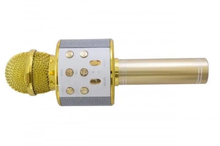 УЦІНКА! Мікрофон WSTER WS-858 Bluetooth USB AUX FM GOLD (Плохе паковання, іржа на корпусі 3172) 2807685061 фото