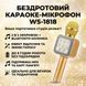 Караоке-мікрофон Bluetooth DM WS1818 з динаміками бездротова колонка мікрофон для співу Жовтий 2884561812 фото 1